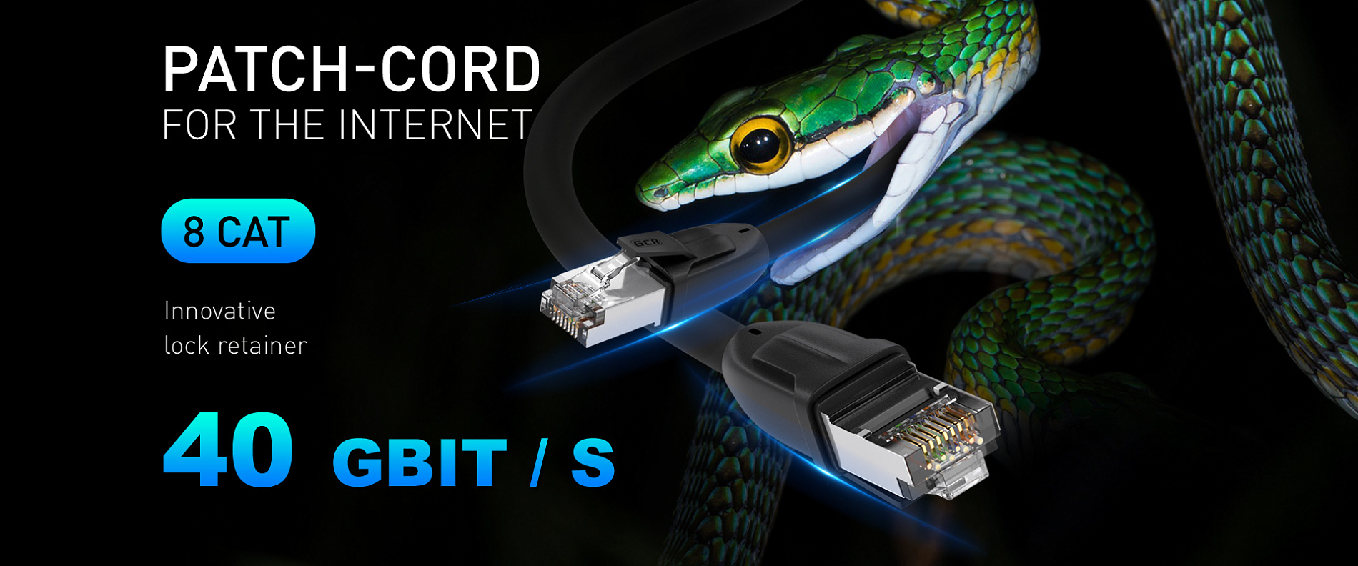 LAN